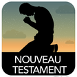 Icon des Programms: Nouveau Testament