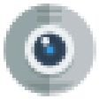 Icono de programa: Security Camera Viewer