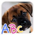 Icon des Programms: Baby Animals Puzzle