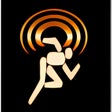 Icon des Programms: NetSurveyor