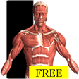 Ikona programu: Visual Anatomy Free