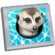 プログラムのアイコン: Meerkat