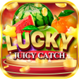 プログラムのアイコン: Juicy Lucky Catch