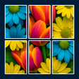Icon des Programms: Fun Jigsolitaire : Jigsaw…
