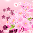 Icon des Programms: Japanese Sakura Wallpaper