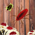 Icône du programme : Beetle Thief