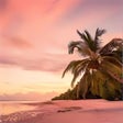 Icon des Programms: Beach…
