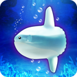 Icon of program: Aquarium sunfish simulati…