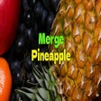 プログラムのアイコン: Merge Pineapple