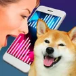 Icon des Programms: Dog Translator Simulator