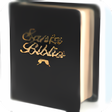Icon des Programms: Bibliesoft