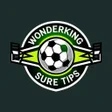 Icon des Programms: Wonderking Sure Tips