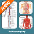 Icon des Programms: Human Anatomy