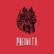 プログラムのアイコン: Pneumata