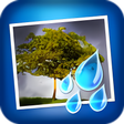 Icon des Programms: Rainy Daze