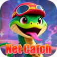 Icono de programa: Net Catch