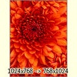 Ikona programu: Easy Image Modifier