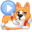 Icon des Programms: WASticker animals in moti…