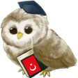 プログラムのアイコン: Learn Turkish Free