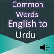 Icon des Programms: Common Words English to U…