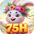 Ikona programu: 75HMaze