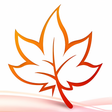 Icon des Programms: MindMaple Pro v1.3