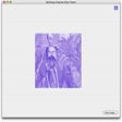Icon des Programms: RAAViewer