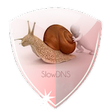 Icon of program: SlowDNS