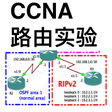 プログラムのアイコン: CCNA Labs Routing Lite