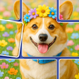 Ikona programu: Jigdom: Jigblock Puzzle