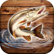 プログラムのアイコン: Fish rain: sport fishing
