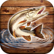 プログラムのアイコン: Fish rain: sport fishing