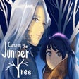 Ikona programu: Curse of the Juniper Tree