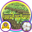 Icon of program: vnmkv_बागायती कापूस लागवड