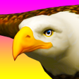 プログラムのアイコン: Eagle Ride