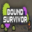 Icon des Programms: Bound Survivor
