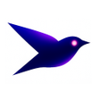 Icon des Programms: Ciphra VPN