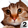 Icon des Programms: Find a Cat 2 - Hidden Obj…