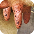 Ikona programu: Milk The Cow