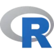 Icône du programme : R