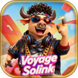 Icon of program: Voyage Solink
