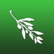 Icona del programma: Olive