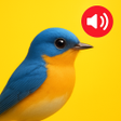 Icon des Programms: WildTone-Sounds-of-the-Wi…