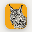 Icon des Programms: Light…