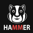 プログラムのアイコン: Hamster VPN :…