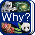 Icon des Programms: Why? 과학