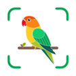 Icon des Programms: BirdAiSnap-Bird Identify