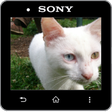 Programmsymbol: Media Viewer for Informer…