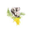Icône du programme : HAP Farmer App
