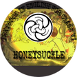 Icône du programme : HONEYSUCKLE Class 6 Engli…